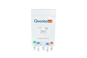 Quantabio qScript Ultra Flex Kit