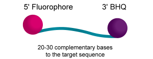 Biosearch Technologies BHQ Probes