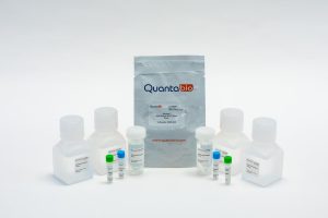 Quantabio Extracta DNA Prep for PCR