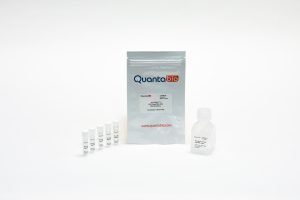 Quantabio AccuStart II PCR SuperMix