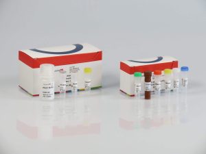 Quantabio sparQ mRNA-Seq Kit